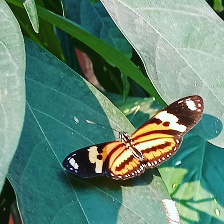 Posada Maria Iguazu Puerto Iguazu Ngoại thất bức ảnh