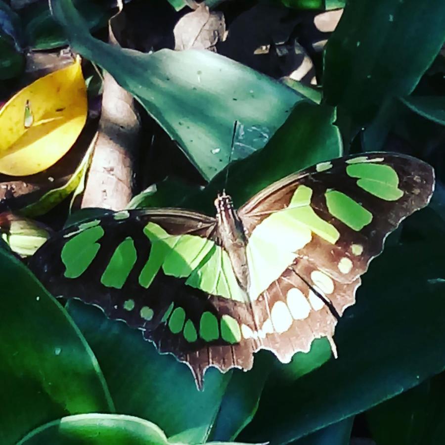Posada Maria Iguazu Puerto Iguazu Ngoại thất bức ảnh