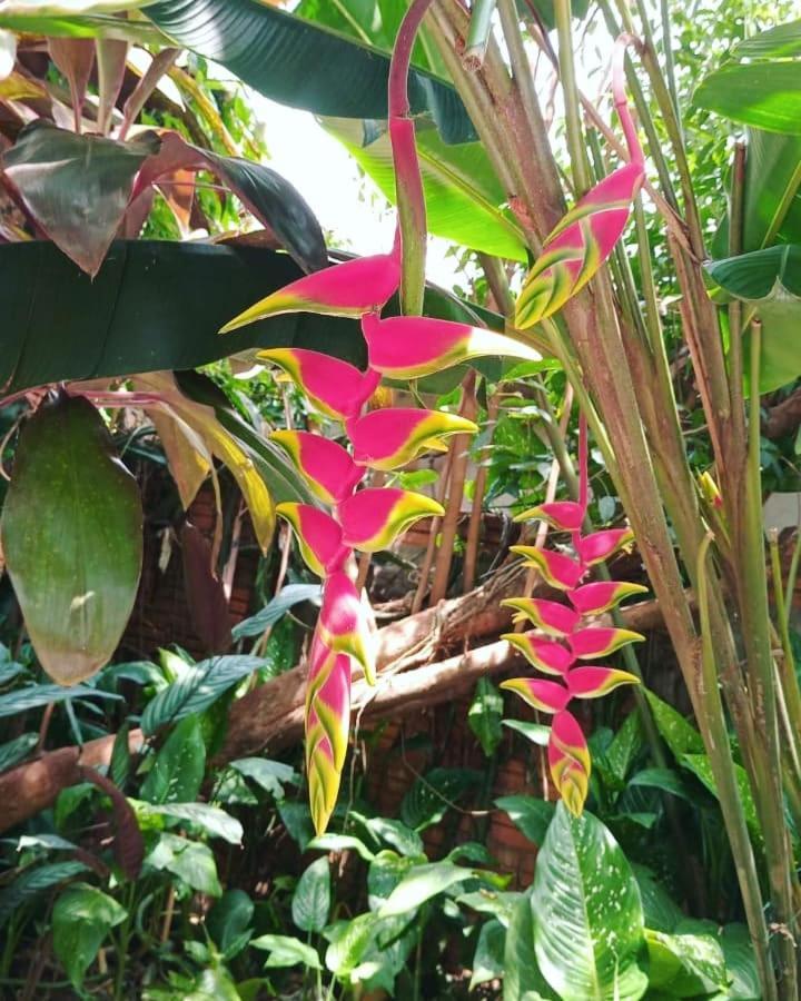 Posada Maria Iguazu Puerto Iguazu Ngoại thất bức ảnh