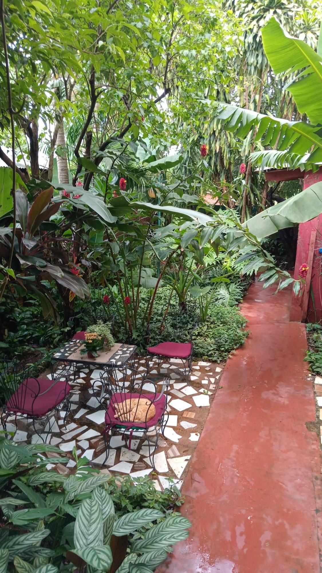 Posada Maria Iguazu Puerto Iguazu Ngoại thất bức ảnh