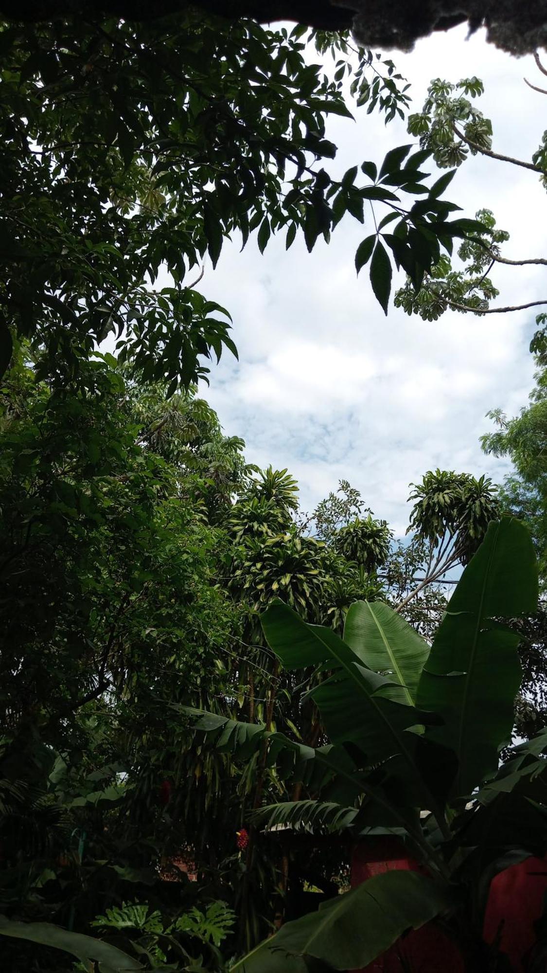 Posada Maria Iguazu Puerto Iguazu Ngoại thất bức ảnh