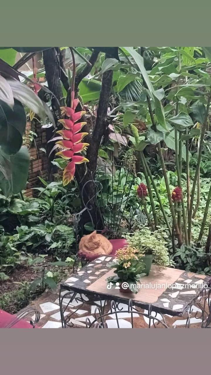 Posada Maria Iguazu Puerto Iguazu Ngoại thất bức ảnh
