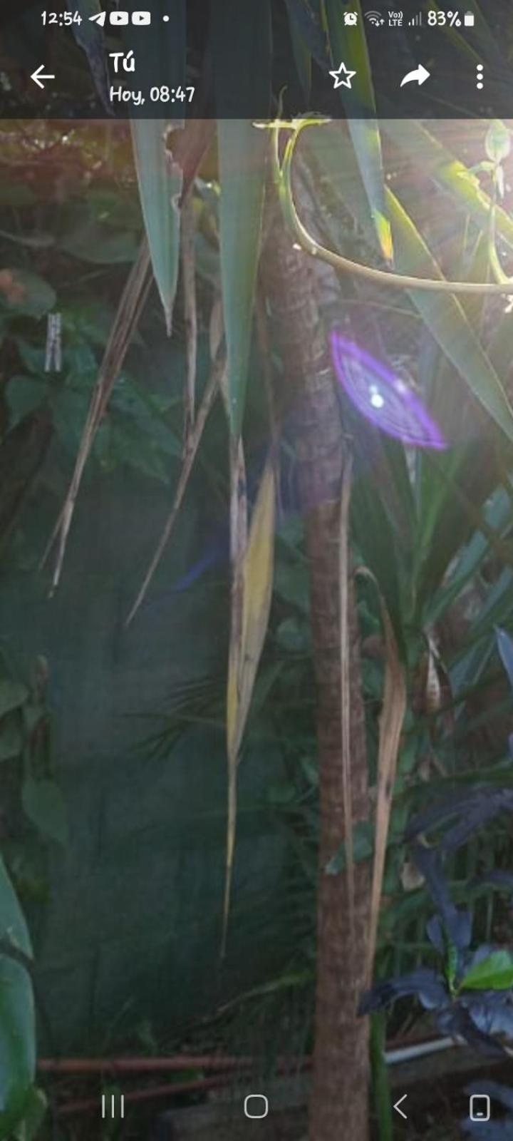 Posada Maria Iguazu Puerto Iguazu Ngoại thất bức ảnh