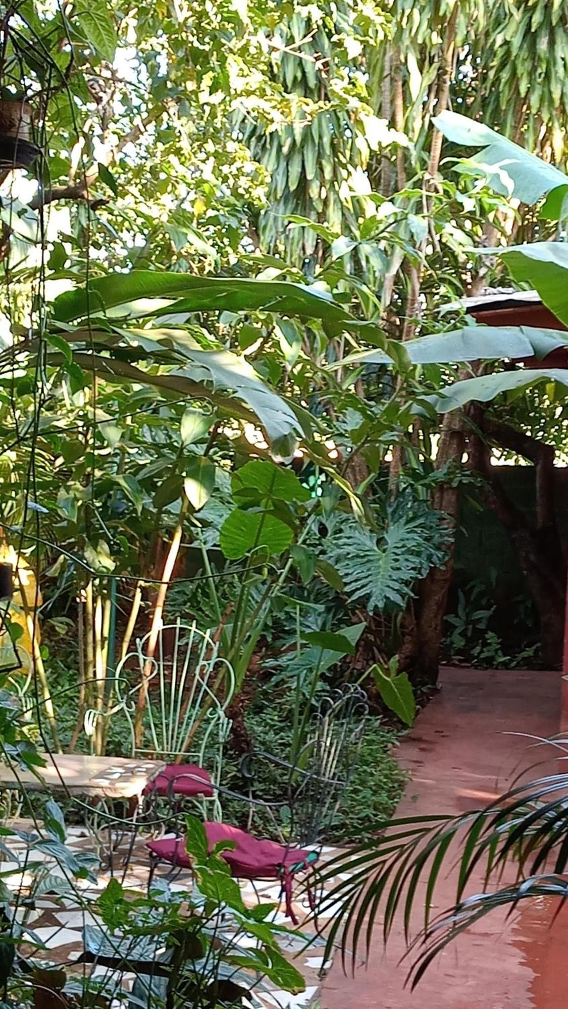 Posada Maria Iguazu Puerto Iguazu Ngoại thất bức ảnh