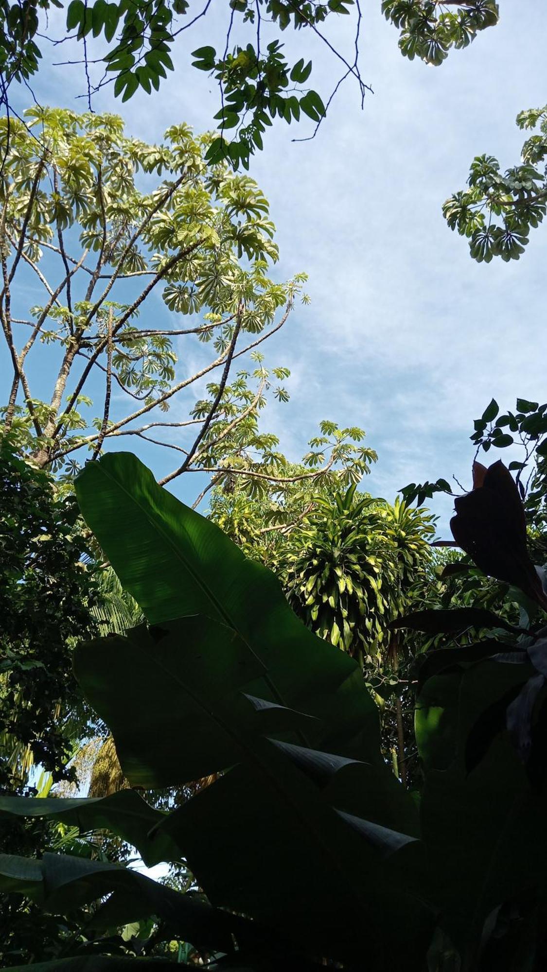 Posada Maria Iguazu Puerto Iguazu Ngoại thất bức ảnh