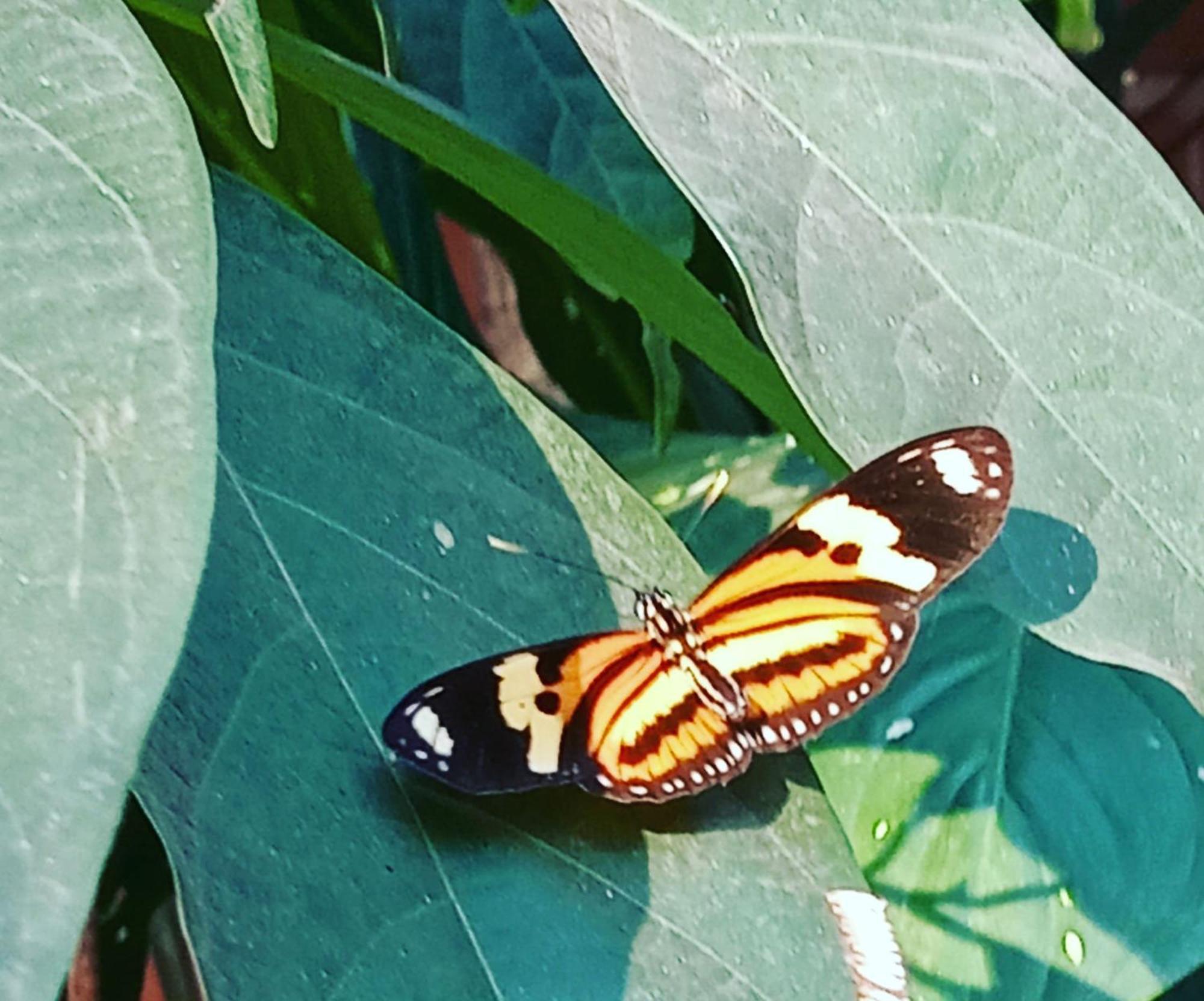 Posada Maria Iguazu Puerto Iguazu Ngoại thất bức ảnh
