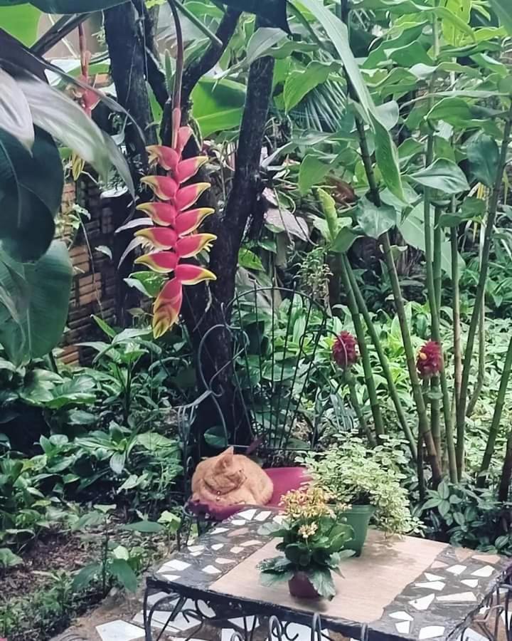 Posada Maria Iguazu Puerto Iguazu Ngoại thất bức ảnh
