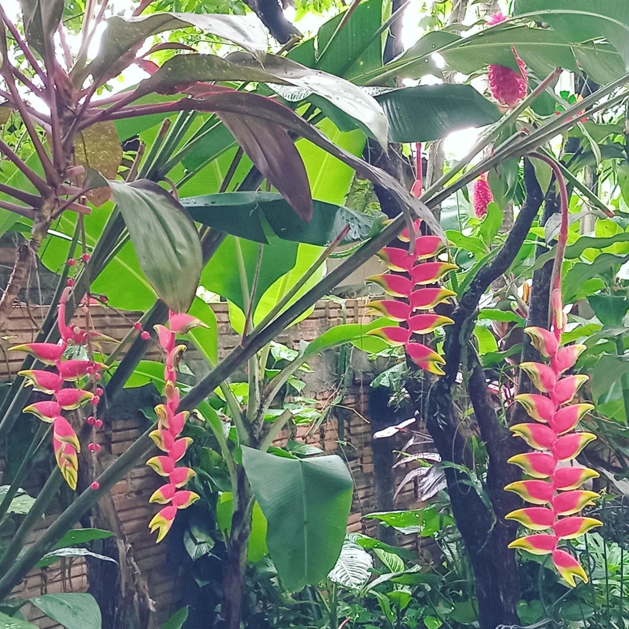 Posada Maria Iguazu Puerto Iguazu Ngoại thất bức ảnh