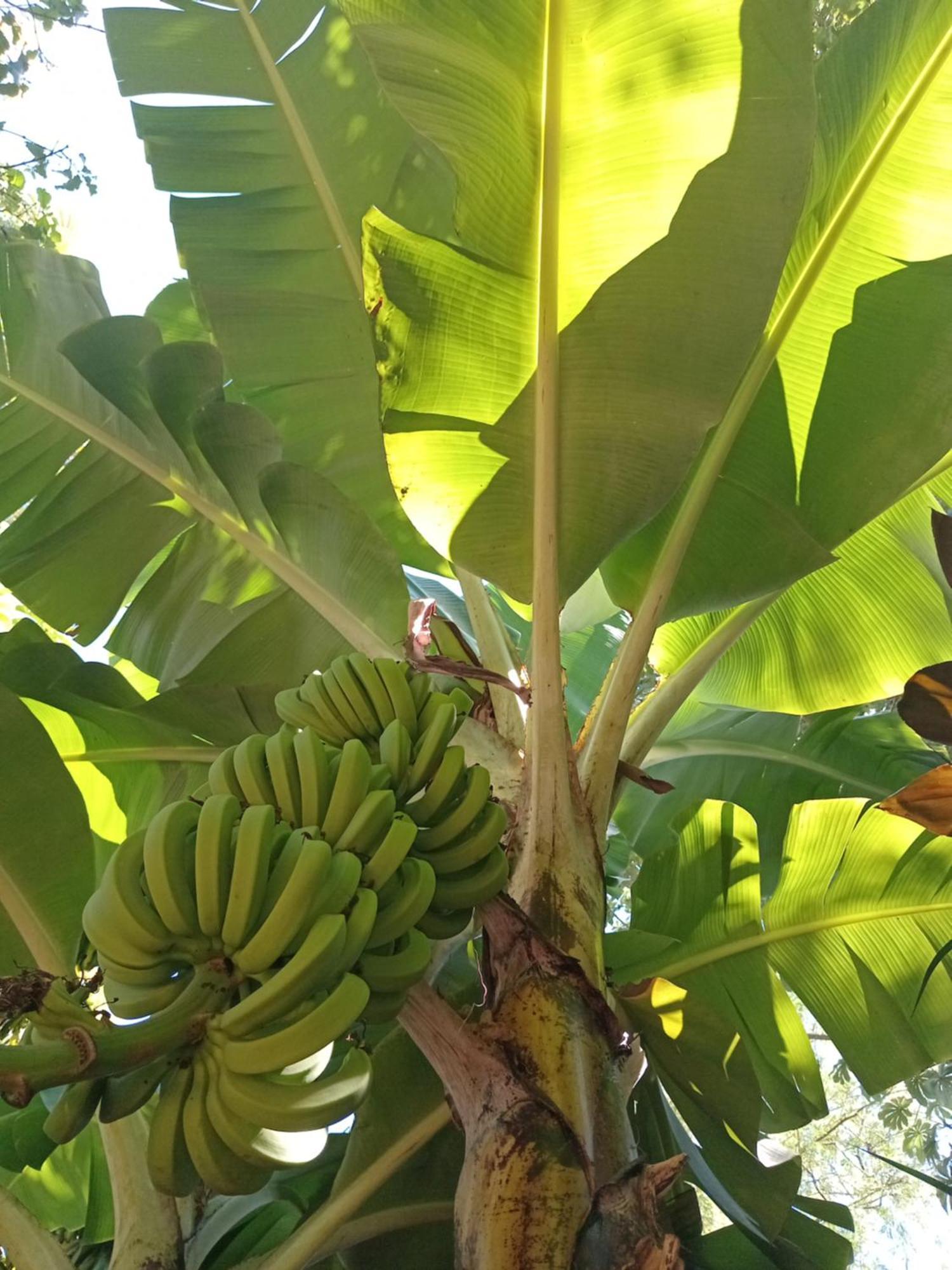Posada Maria Iguazu Puerto Iguazu Ngoại thất bức ảnh