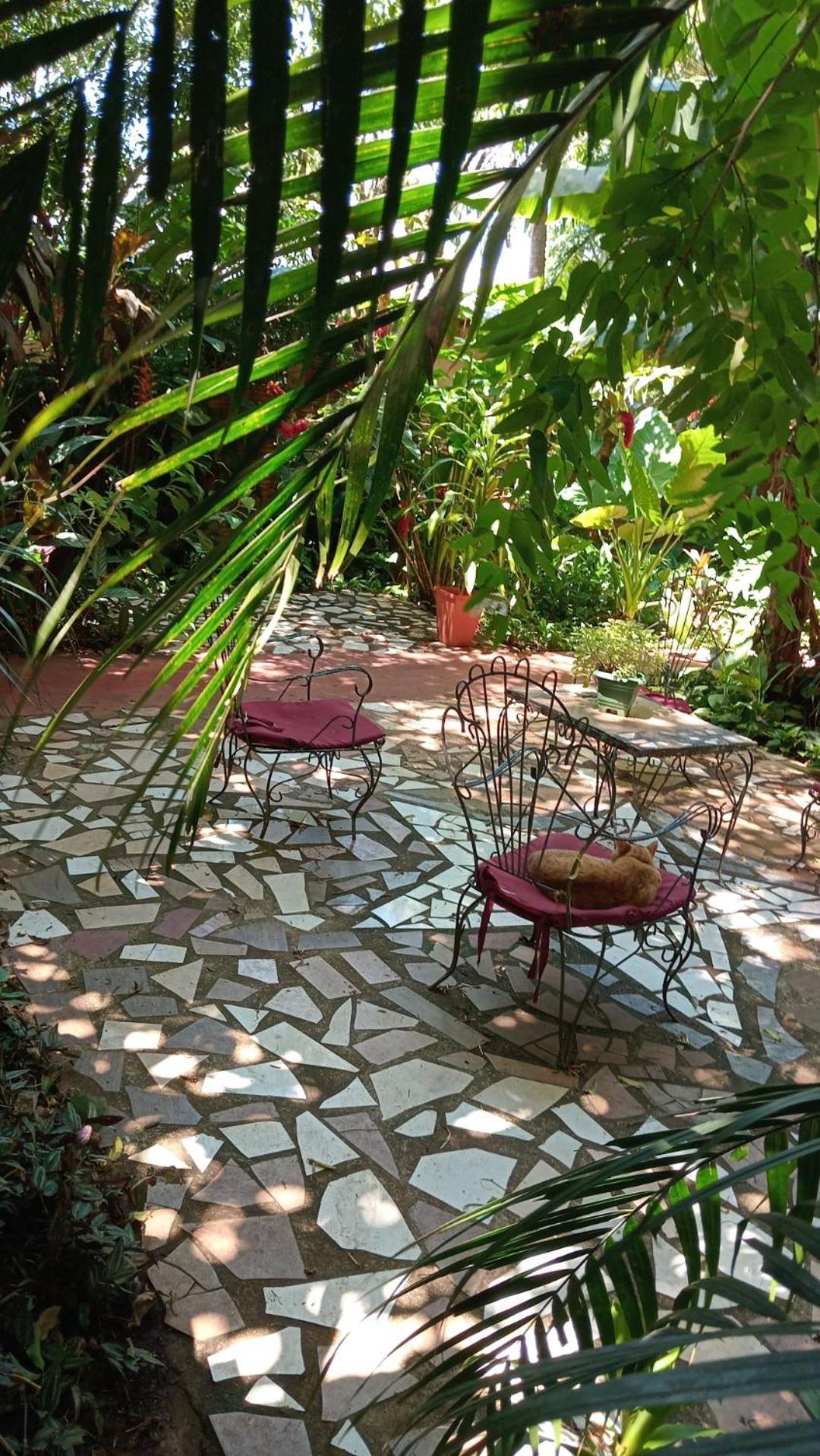 Posada Maria Iguazu Puerto Iguazu Ngoại thất bức ảnh